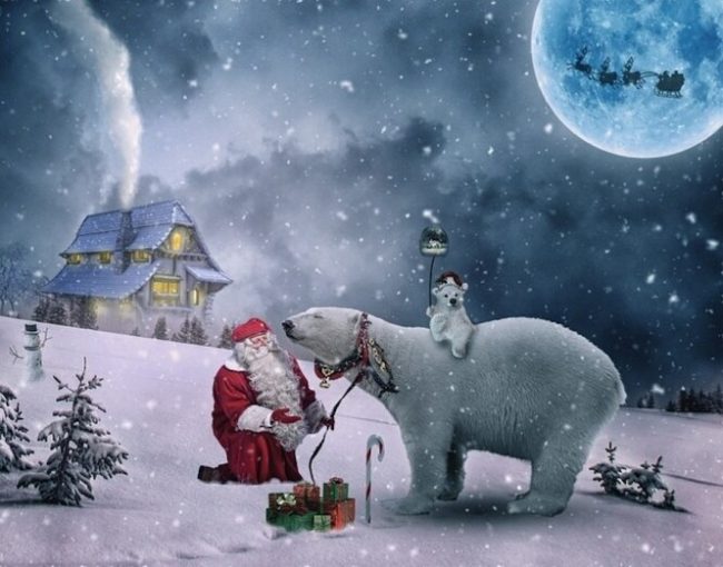 Polar Bears Christmas Paint By Numbers