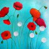Red Poppy Anemone Paint By Numbers