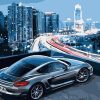 Urban Porsche Adventure Paint By Numbers