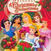 Disney Princess Christmas Paint By Numbers