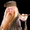 Professor Albus Dumbledore Paint By Numbers