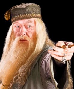 Professor Albus Dumbledore Paint By Numbers