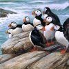 Puffins Birds Paint By Numbers