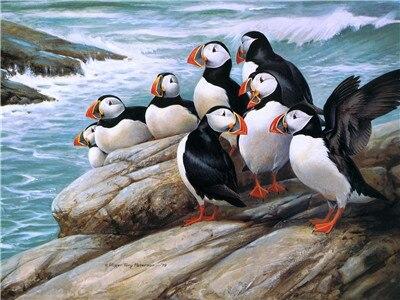 Finalizing Puffins Birds Paint By Numbers artwork