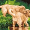 Puppies by the River Paint By Numbers