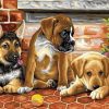 Puppies Playing Tennis Paint By Numbers