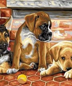 Puppies Playing Tennis Paint By Numbers