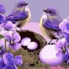 Purple Birds Wildlife Paint By Numbers