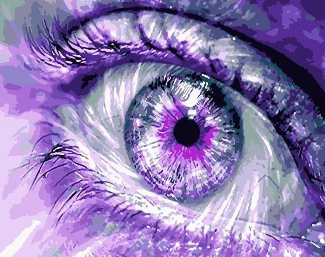 Purple Eyes Paint By Numbers