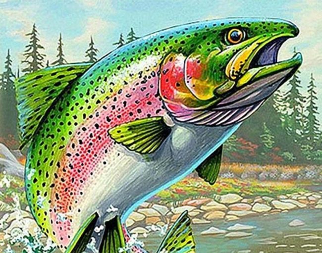 Colorful Salmon Fish Paint By Numbers