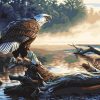 Majestic Eagle Watercolor Paint By Numbers
