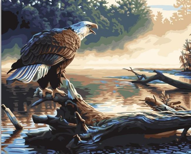 Majestic Eagle Watercolor Paint By Numbers