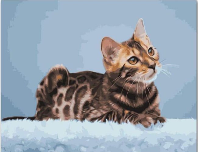 Bengal Cat Art Paint By Numbers