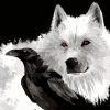 Wolf and Raven Animal Art Paint By Numbers