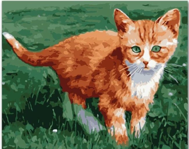 Orange Cat Paint By Numbers