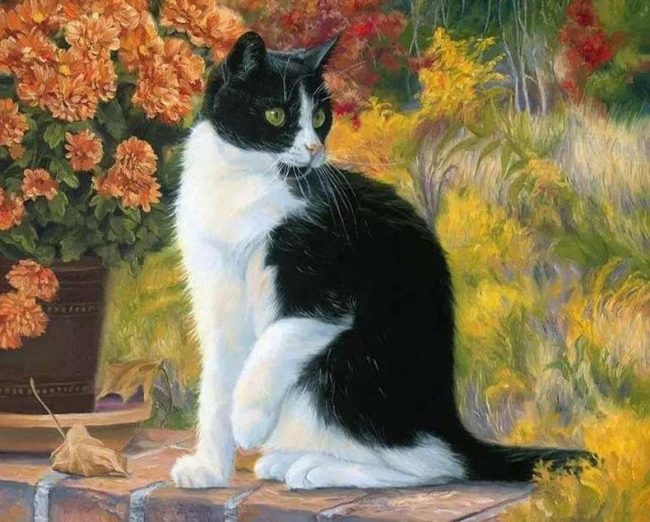 Black and White Cat Animal Paint By Numbers