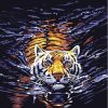 Tiger Water Scene Paint By Numbers