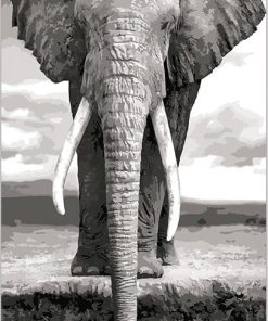 Majestic Elephant Paint By Numbers