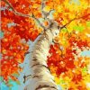 Autumn Birch Trees Paint By Numbers