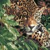 Leopard Wildlife Paint By Numbers