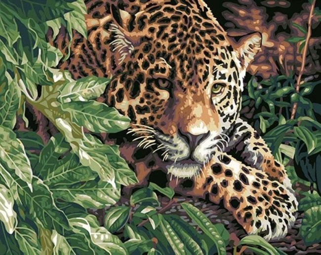 Leopard Wildlife Paint By Numbers