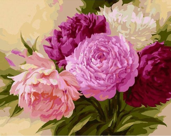 Modern Chinese Pink Flower Paint By Numbers