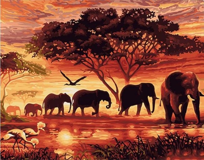 Elephants Wildlife Paint By Numbers