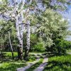 Peaceful Birch Forest Paint By Numbers