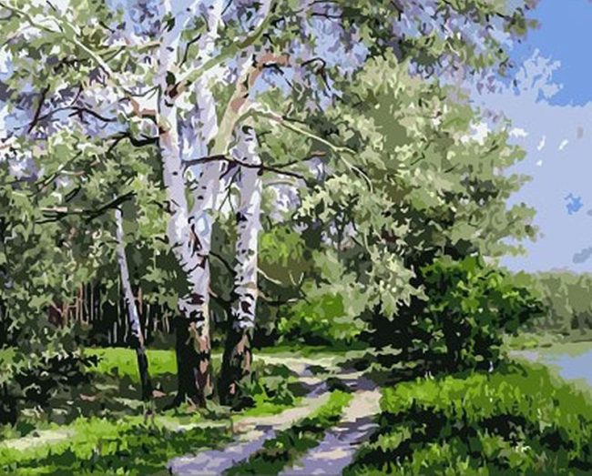 Peaceful Birch Forest Paint By Numbers