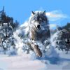 Snow Wolves Paint By Numbers