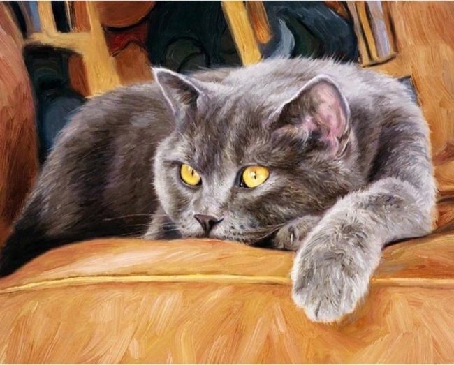 Cat Couch Companion Paint By Numbers