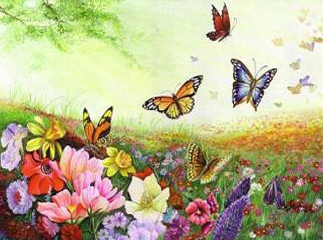 Butterfly Landscape Art Paint By Numbers