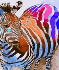 Colorful Zebra Animals Paint By Numbers