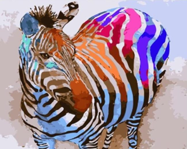 Colorful Zebra Animals Paint By Numbers