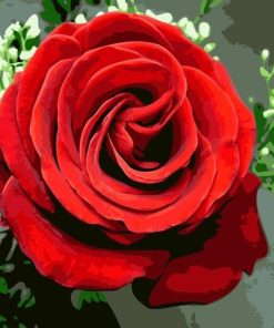 Romantic Red Roses Paint By Numbers