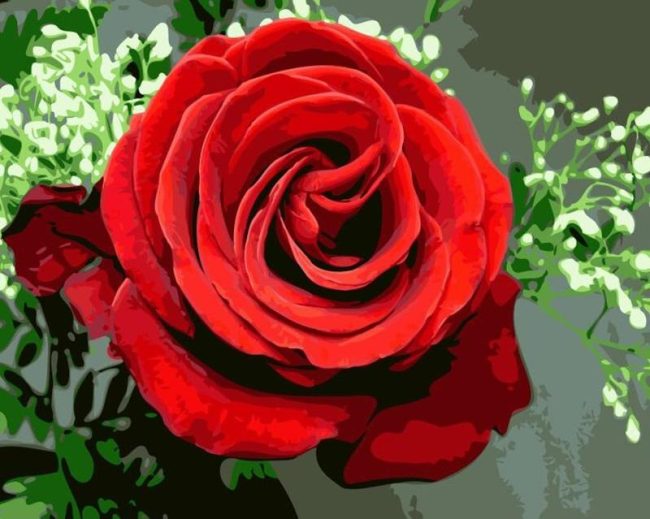 Romantic Red Roses Paint By Numbers