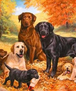 Dogs in Forest Paint By Numbers