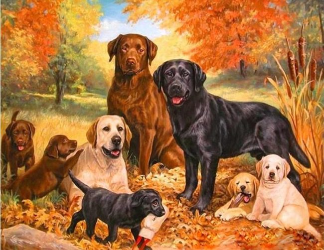 Dogs in Forest Paint By Numbers