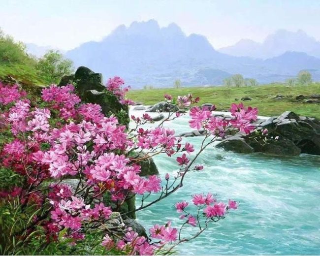 Flower Scenery Paint By Numbers