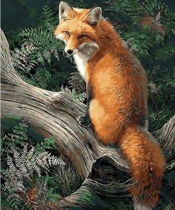 Colorful Fox Animals Paint By Numbers