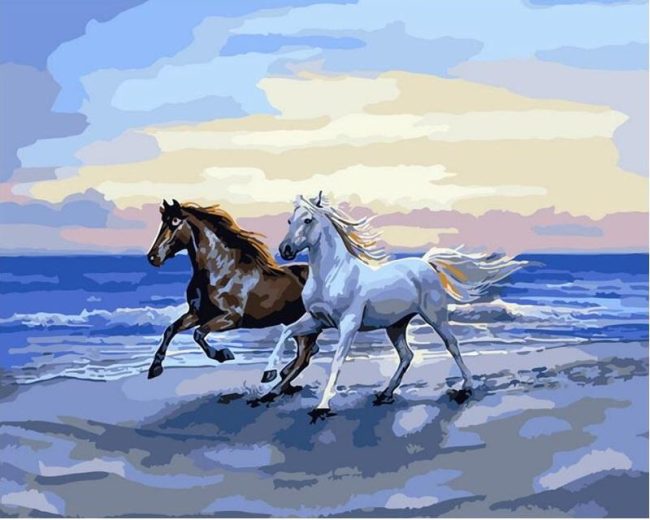 Arabian Beach Horses Paint By Numbers