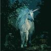 Unicorn Animals Fantasy Paint By Numbers