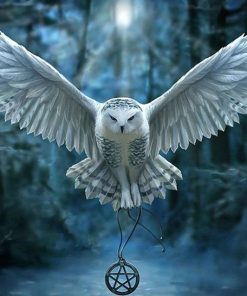 Majestic Owl Paint By Numbers