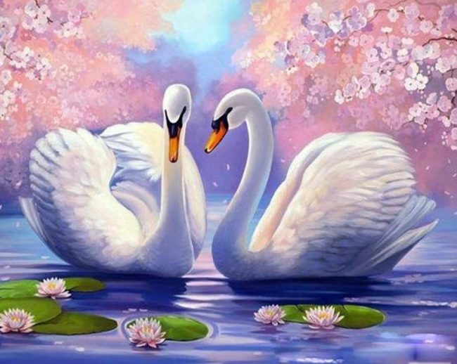 Swan Landscape Paint By Numbers