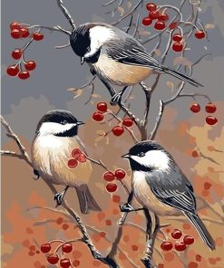 Unique Birds Picture Paint By Numbers