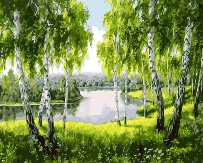 Birch Tree Landscape Paint By Numbers