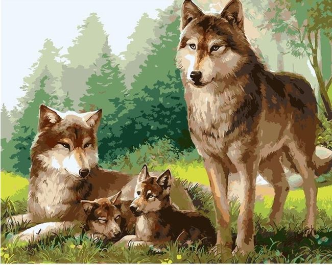 Wolves Family Animal Paint By Numbers