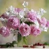Romantic Pink and White Flowers Paint By Numbers