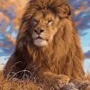 Majestic Lion Wildlife Paint By Numbers