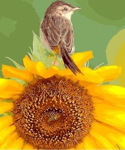 Sunflower Bird Colors Paint By Numbers